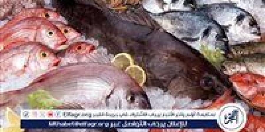 أسعار السمك البلطي والبوري اليوم الخميس 1-5-2025 في محافظة قنا