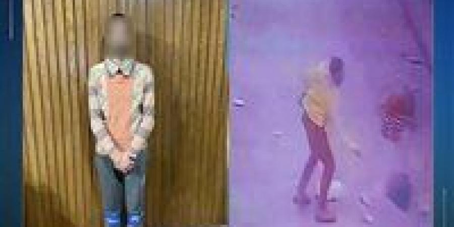 الداخلية تكشف ملابسات فيديو تعدي شخص على جاره بسلاح أبيض في الإسكندرية