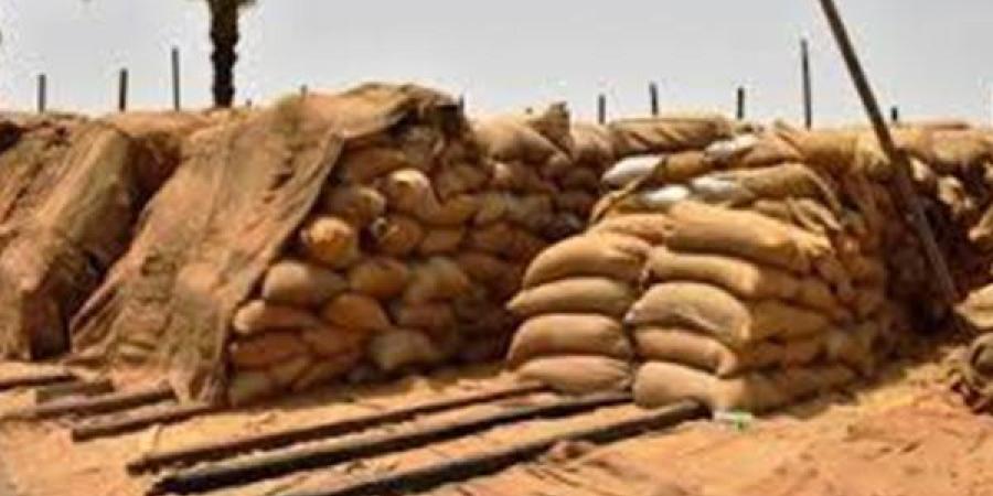 محافظ المنوفية يتابع منظومة توريد محصول القمح