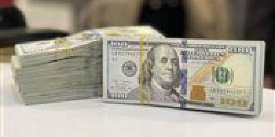 عاجل| 3.9 مليار دولار.. التزامات البنك المركزي المستحقة حتى نهاية 2025