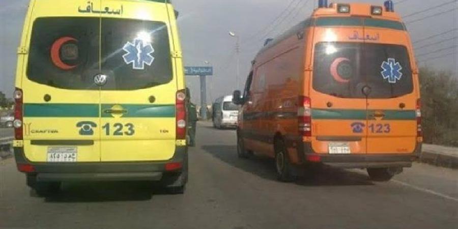 حادث مروع.. حبس السائق المتهم بالتسبب في مصرع أب ونجله بمدينة نصر