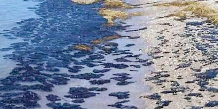«البيئة» تتخذ إجراءات عاجلة لاحتواء تلوث بترولي قرب مدينة أبورديس.. وإرسال العينات للفحص