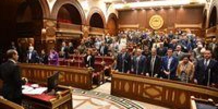 الشيوخ يحيل اقتراح النائبة كاميليا صبحي بشأن تأثير تطبيقات التكنولوجيا المقدمة على العملية التعليمية إلى الحكومة