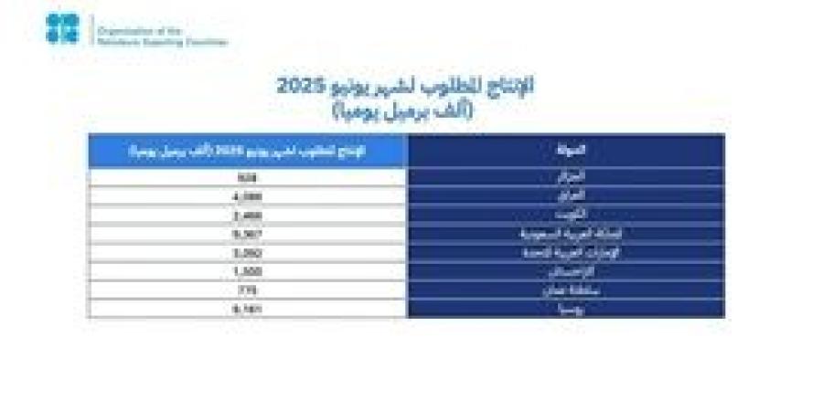 السعودية و 7 دول من "أوبك بلس" يؤكدون التزامهم باستقرار السوق البترولية