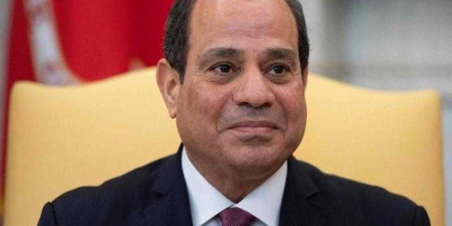 متحدث الرئاسة يكشف تفاصيل مباحثات السيسي ونائب رئيس الوزراء ووزير خارجية العراق