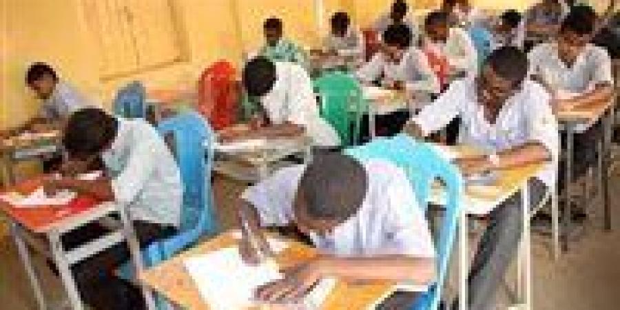 خطوات استخراج نتيجة الشهادة السودانية 2025 إلكترونيًا