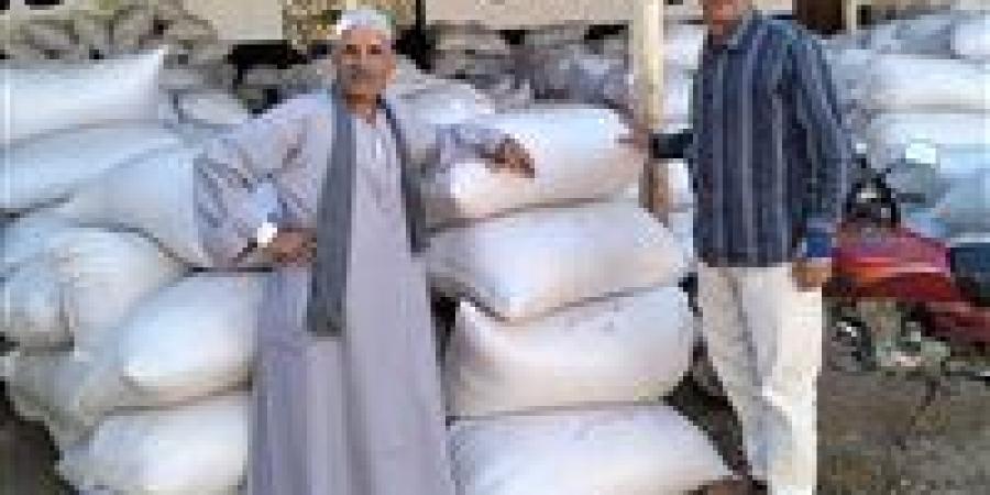 الإصلاح الزراعي يتابع حصاد القمح لدى المنتفعين وجهود إزالة التعديات على الأراضي