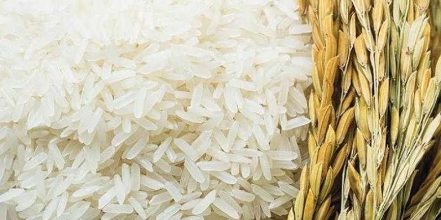 سعر طن الأرز اليوم الأحد عند التاجر.. اعرف وصلت لكام
