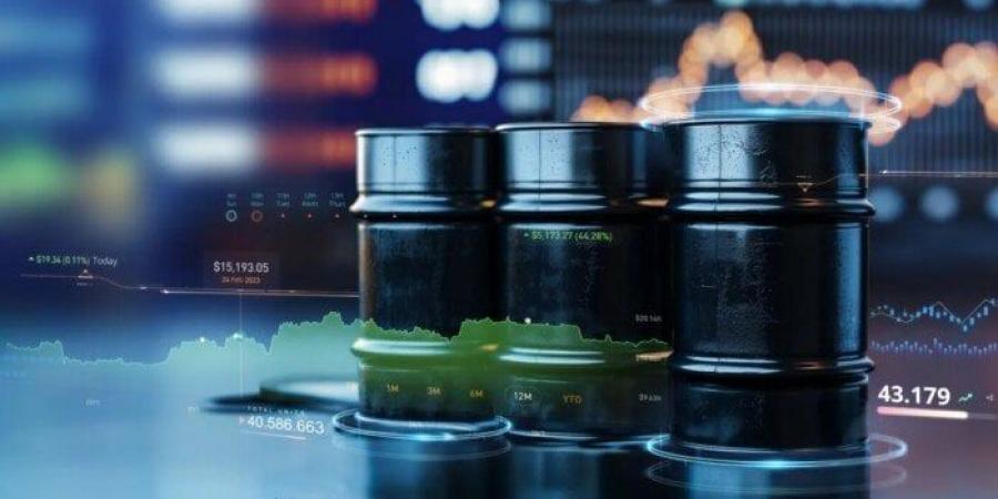 البنك المركزي: واردات مصر البترولية تكلفها 9.66 مليار دولار في 6 أشهر