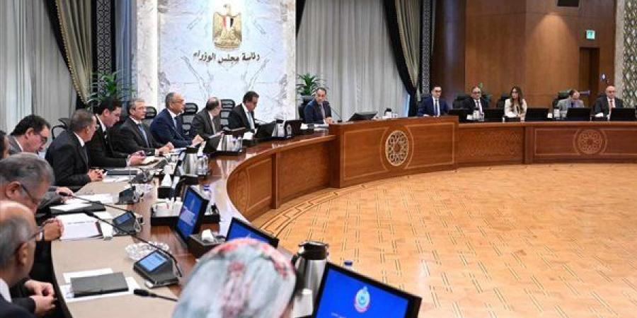 رئيس الوزراء يستعرض إجراءات تيسير تسجيل ودخول الماركات العالمية إلى السوق المصرية