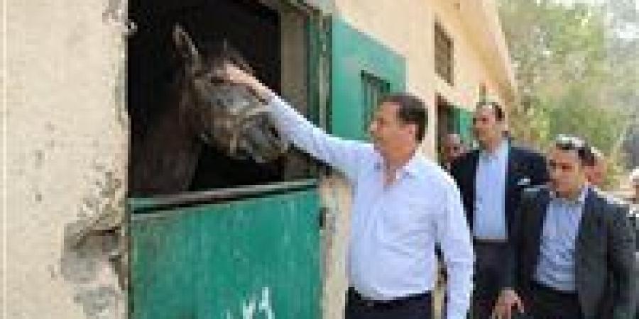 «الزراعة» توجه بسرعة تطوير محطة الزهراء للخيول ورفع كفاءتها وإعادتها لسابق عهدها