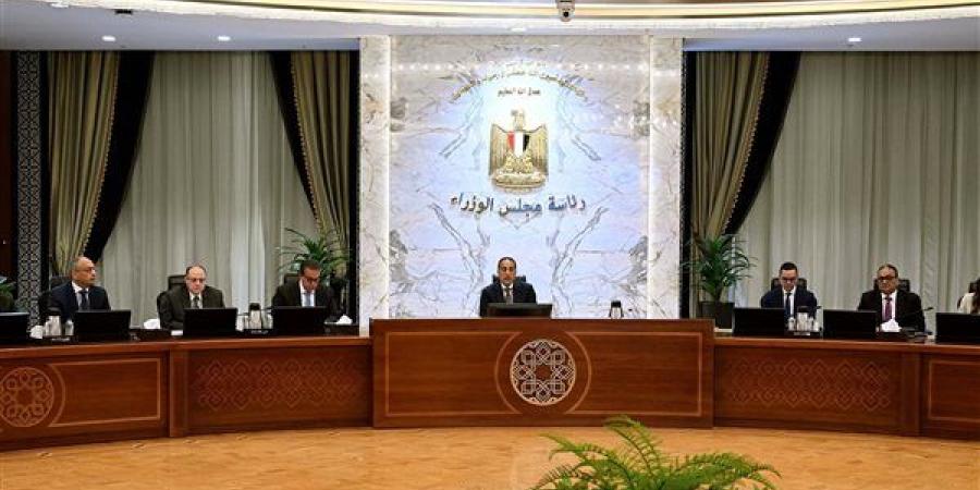 مدبولي يستعرض الإجراءات المقترحة لتيسير تسجيل ودخول الماركات العالمية إلى السوق المصرية