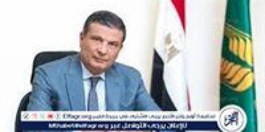 وزير الزراعة: 3.1 مليون طن قمح هذا العام و10% زيادة متوقعة في الإنتاج