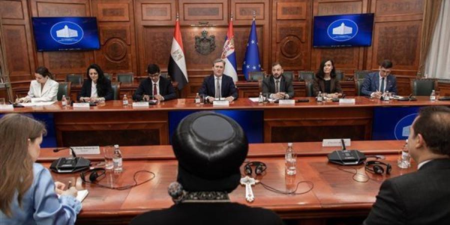 البابا تواضروس يبحث مع وزير الثقافة الصربي تعزيز التعاون المشترك