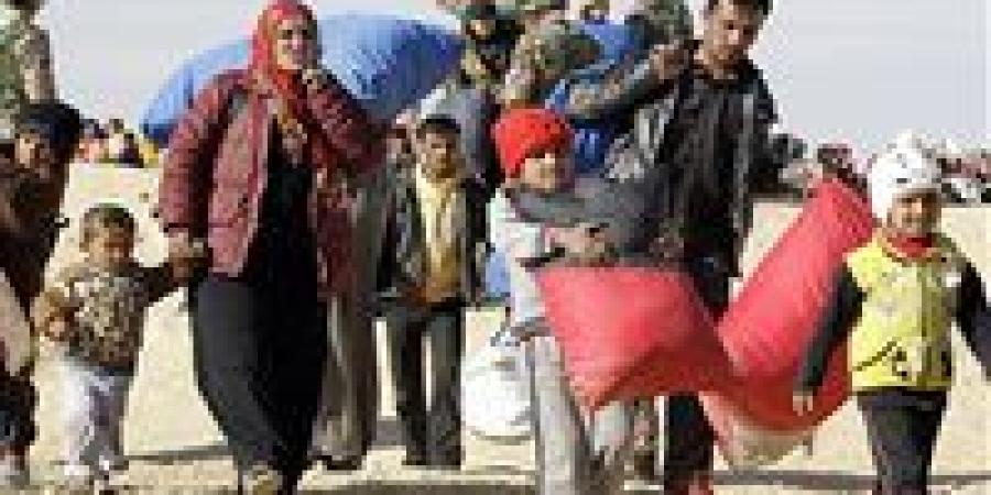 انخفاض كبير لطلبات لجوء السوريين في أوروبا لأدنى مستوياتها منذ عقد كامل