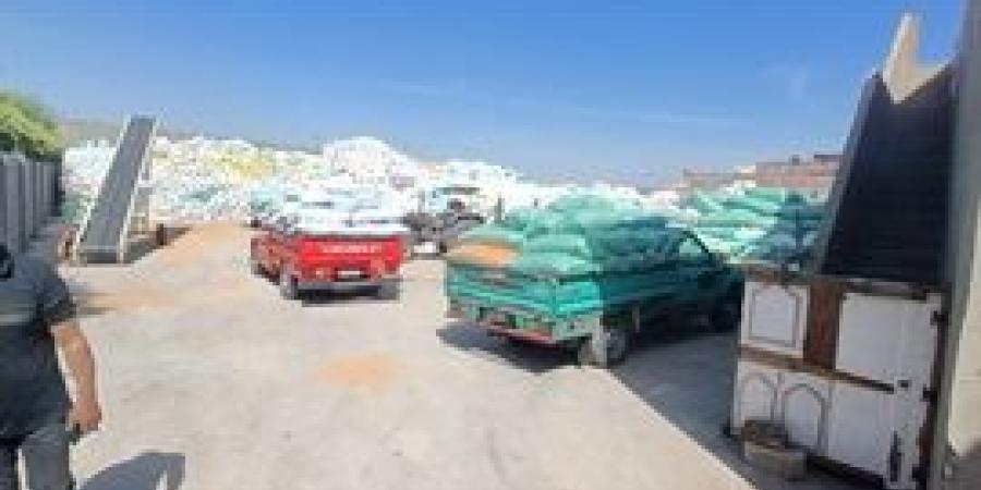 توريد 63639 طن قمح لشون وصوامع البحيرة