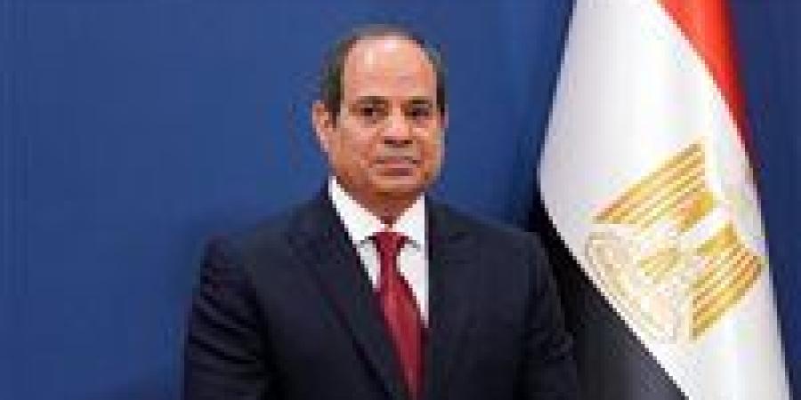 الرئيس السيسي: أشيد بالمشاورات الناجحة مع رئيس الوزراء اليوناني