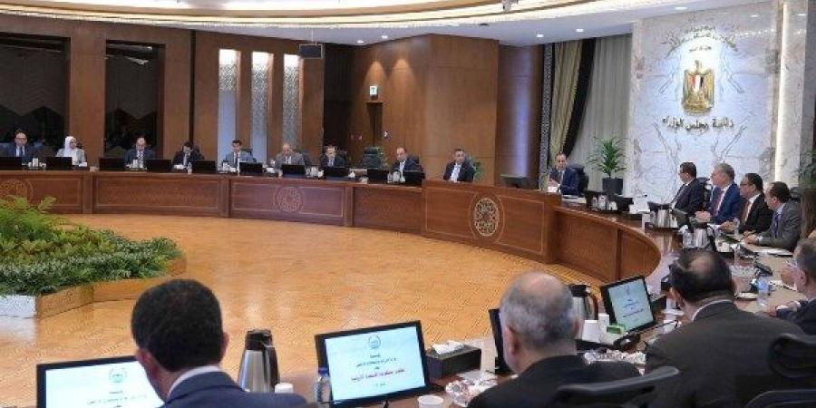 متحدث البترول: لا توجد مشكلة في البنزين حتى اللحظة
