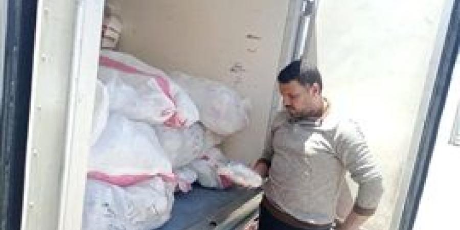 ضبط 390 كجم دواجن مجمدة ولحوم مجهولة المصدر ببيلا
