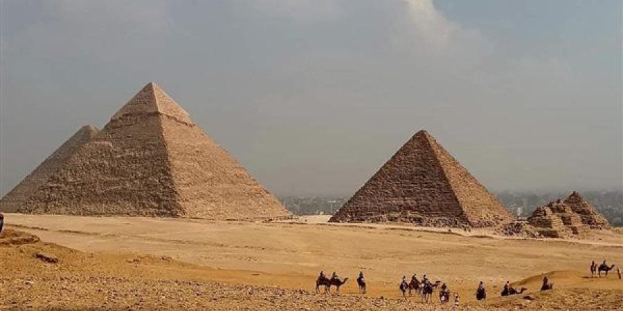 مجموعة "ترافكو" العالمية للسياحة تعتزم إفتتاح 4 فنادق جديدة في مصر
