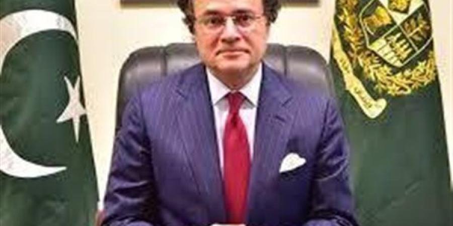 وزير مالية باكستان: نعمل بجد للحفاظ على سلامة الاقتصاد في مواجهة التحديات الراهنة