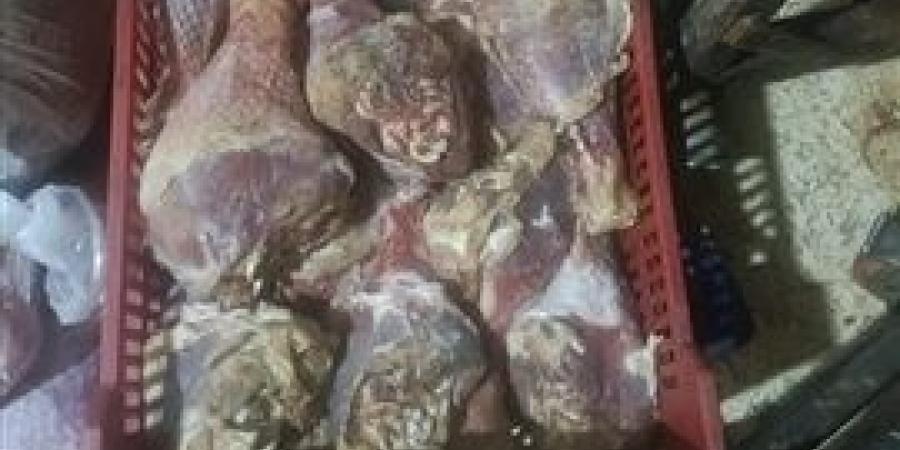 ضبط 18.5طن لحوم مستوردة وهياكل دواجن ودهون وأسماك مملحة فاسدة بالجيزة