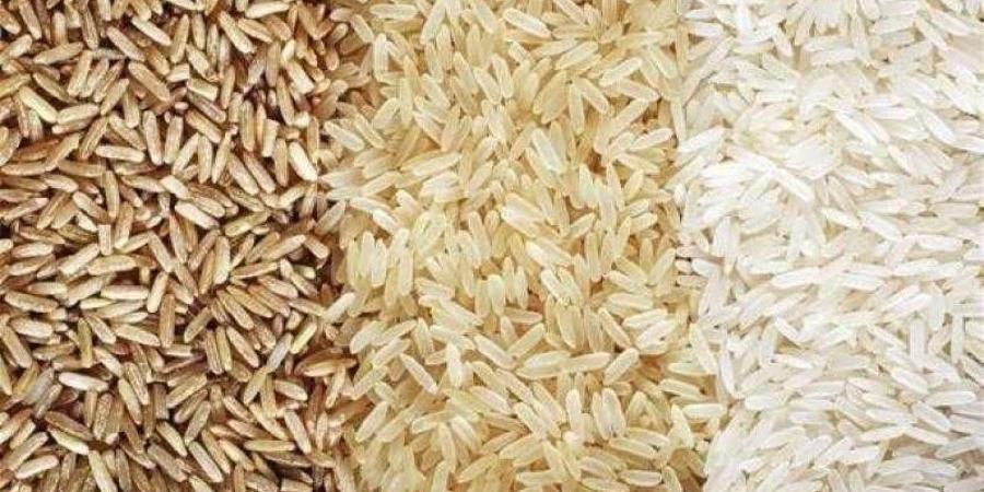 سعر الأرز الشعير اليوم الأربعاء عند التاجر.. الطن وصل لكام