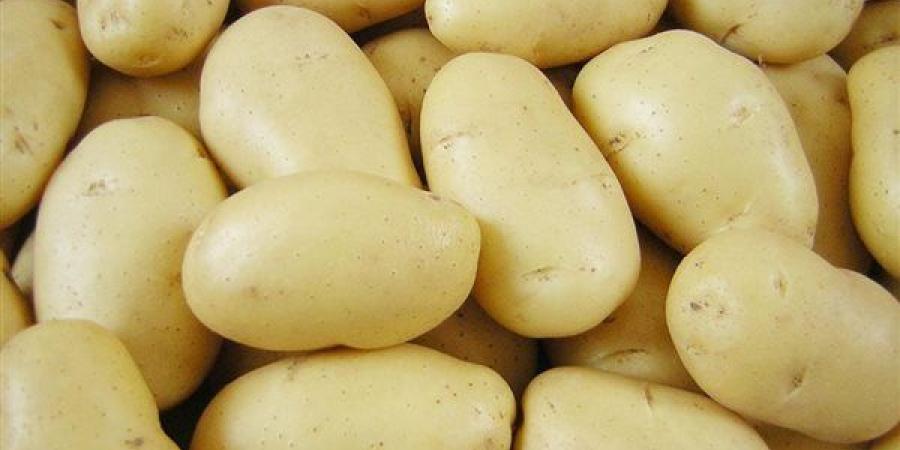 اعرف بكام أسعار البطاطس اليوم في سوق العبور