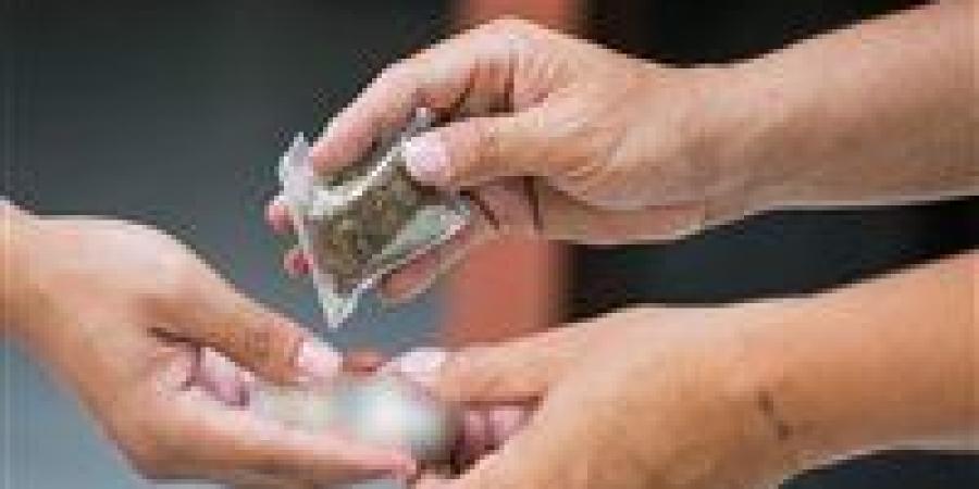 كوكتيل مخدرات.. حبس 2 من أباطرة الكيف في السلام