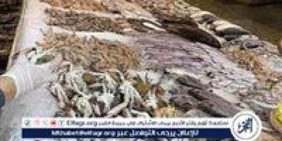 أسعار الأسماك اليوم الخميس الموافق 7-5-2025 في سوهاج