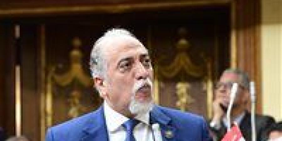 رئيس تضامن النواب: الرئيس السيسي يولي ذوي القدرات الخاصة اهتمام كبير
