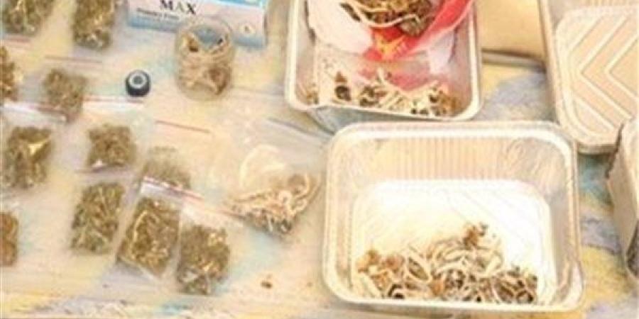 ضبط مخدر ماريجوانا وفطر عيش الغراب بحوزة راكبين بمطار القاهرة