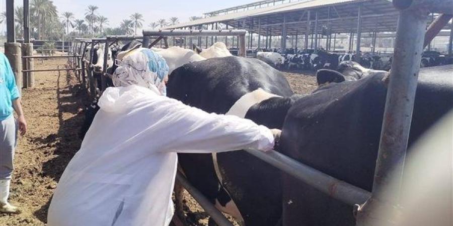 "الزراعة" تكثف جهود رصد الأمراض الوبائية الحيوانية