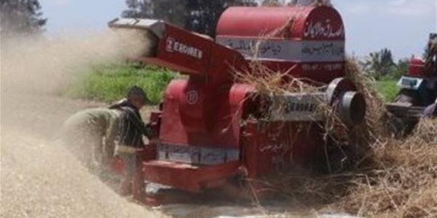 مصرع مزارع سقط في ماكينة الدراس بالسنطة بالغربية
