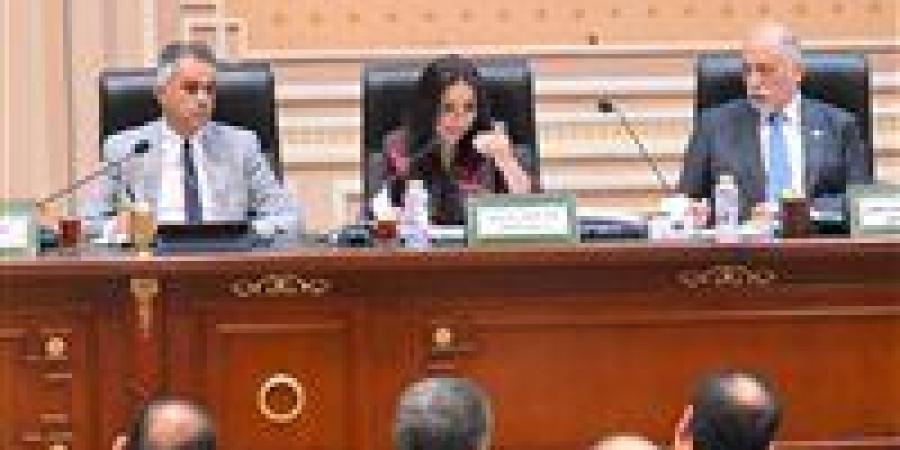 وزيرة التضامن الاجتماعي: "تكافل وكرامة" أصبح حقًا دستوريًا بصدور قانون الضمان الاجتماعي الجديد