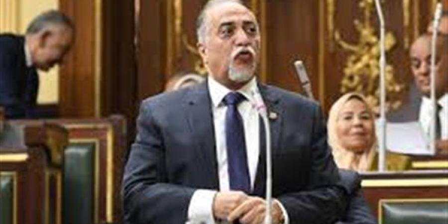 بعد دعم الرئيس السيسي.. البرلمان يرفع موازنة ذوي الإعاقة 20% للعام الجديد
