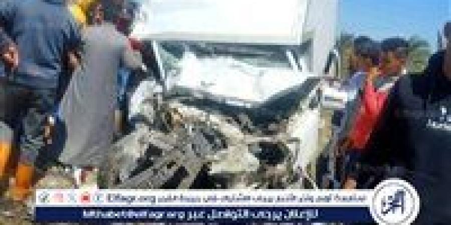 بالاسماء إصابة 7 أشخاص في حادثين متفرقين علي الطرق في الدقهلية