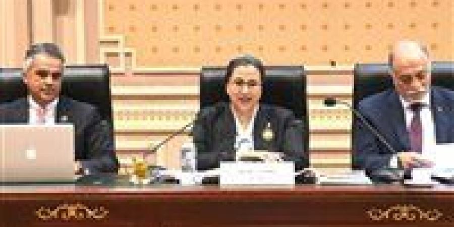 أمل عمار: المرأة تعيش عصرها الذهبى فى عهد الرئيس السيسي