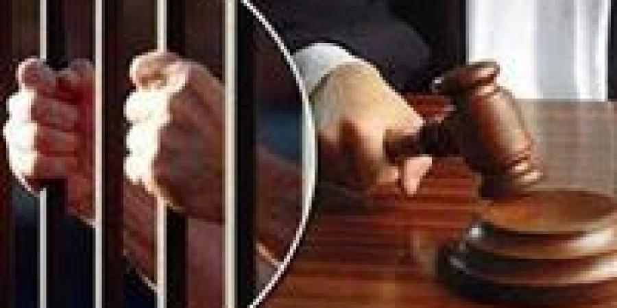 استمرار حبس تجار المخدرات والأسلحة النارية بالمرج