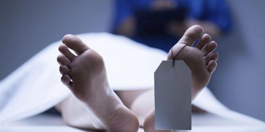 جريمة أسرية تهز الشرقية.. فتاة تنهي حياة جدتها بسبب منْعها من الخروج