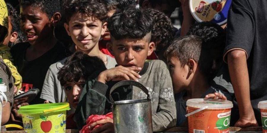 وكالات الأمم المتحدة ترفض الخطة الإسرائيلية لاستخدام المساعدات كـ"طعم" في غزة