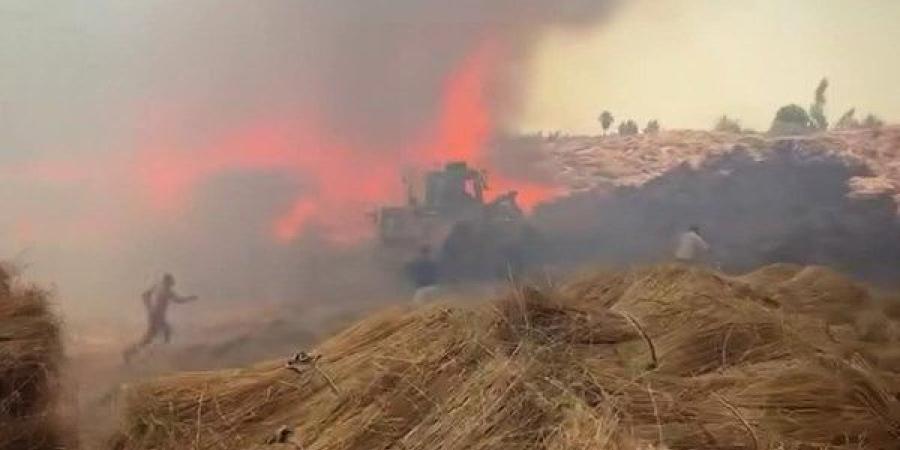 حريق هائل في مزرعة مواشي بمحافظة الغربية.. إصابة 17 شخصًا ونفوق 8 رؤوس ماشية
