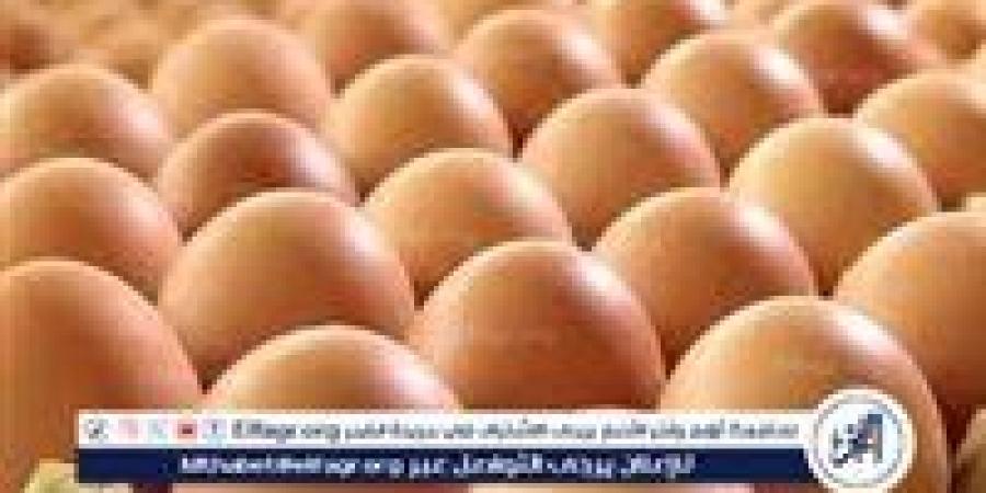 أسعار طبق البيض اليوم الجمعة 9-5-2025 في قنا