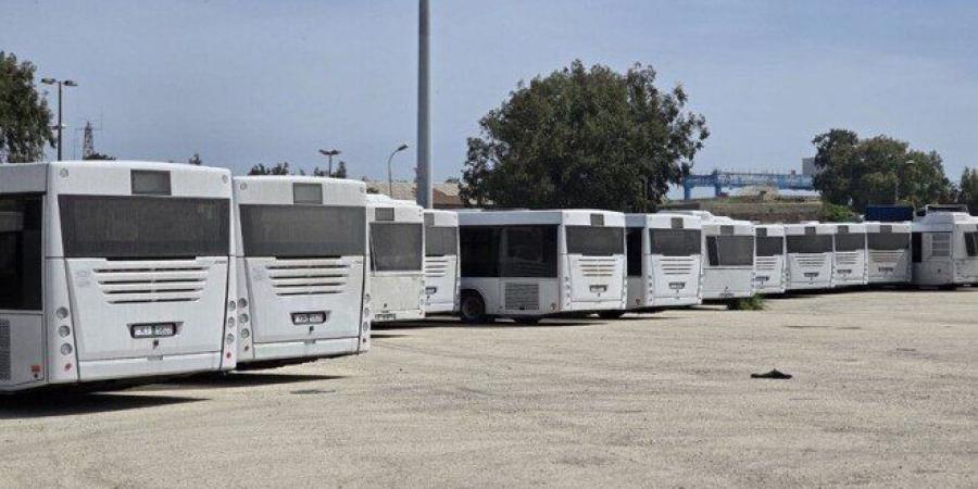 سوريا: وصول 50 حافلة ركاب إلى ميناء طرطوس لدعم قطاع النقل