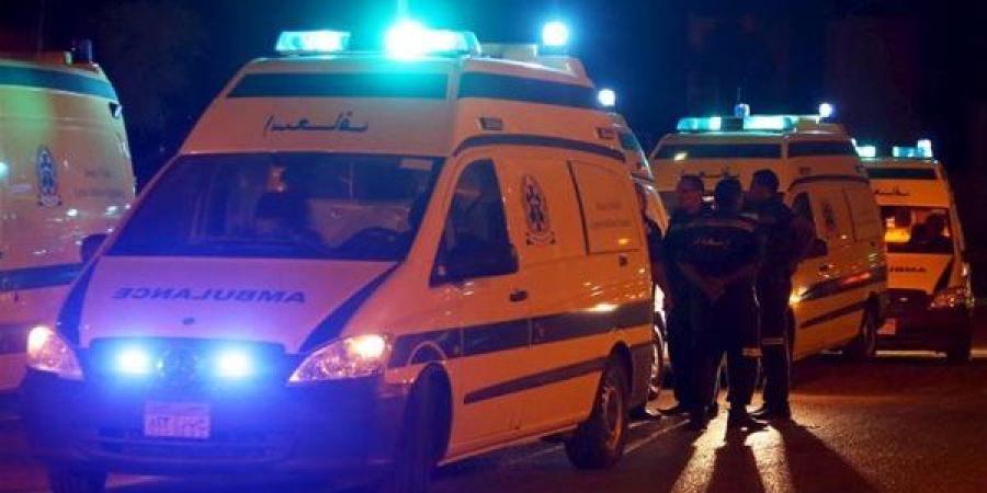 مشاجرة عنيفة بسبب خلافات الجيرة في دار السلام بسوهاج