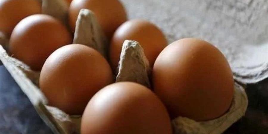 رئيس شعبة الدواجن: من غير المقبول أن يُباع طبق البيض بسعر 90 جنيهًا