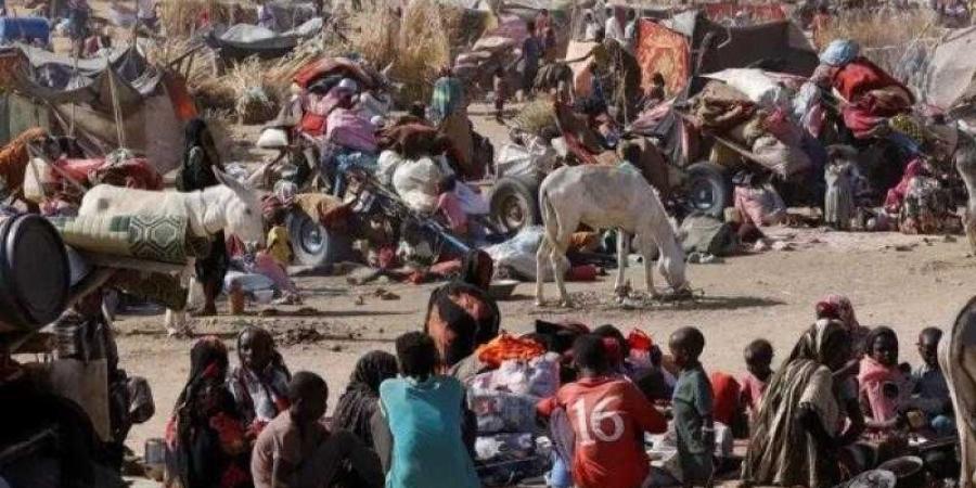 الدعم السريع.. غارة جوية على دارفور بالسودان تقـ.تل 14 فردا من عائلة واحدة