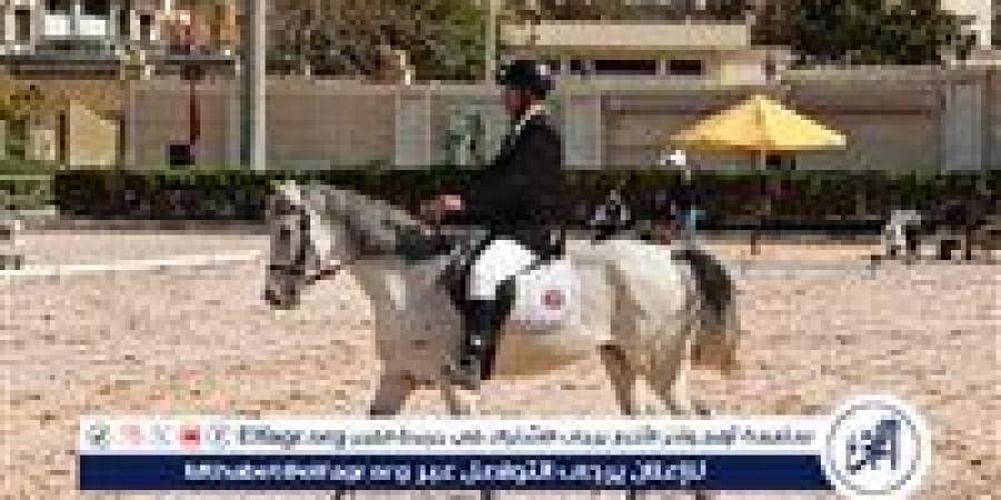 غدا.. إنطلاق نهائي بطولة الجمهورية للفروسية لقادرون باختلاف لذوي الهمم