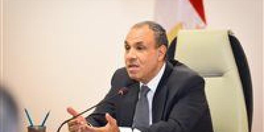 وزير الخارجية: يجب تكثيف نشاط البعثات المصرية فى الخارج لدعم الإقتصاد الوطنى