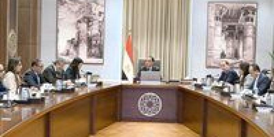 رئيس الوزراء يتابع أعمال اللجنة الخاصة بحوكمة الاستثمارات العامة في مصر